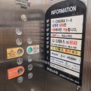 한스당구장 | 전좌석 리클라이너 영화관 충주 CGV 한스타워 + 쥬라기월드 관람 후기