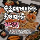 눈큰나라 | 속초해수욕장 맛집 속초대게나라홍게마을｜3명이 먹어도 푸짐했던 대게세트 후기