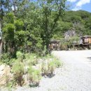 아우라지강변펜션 이미지