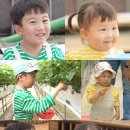 딸기 농장 수