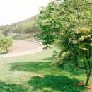 남해-256 이미지