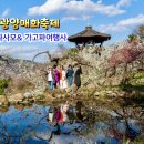 (주)가고파여행 이미지