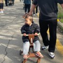오산리기도원 | 오산리 기도원 벚꽃명소 아기랑 외출 후기 (유모차 이동, 아기 사진 위주 리얼 후기)