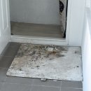 신축호랑이사 | 이사 후 집 상태 변화, 세간살림 채워나가기~