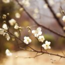 산서초 앞 이미지