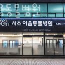 서초이음동물병원 이미지