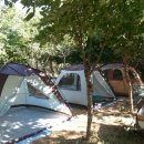 뭉치농장 이미지