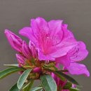 이정훈내과의원 이미지