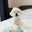 위랩 네이버블로그