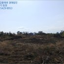 상모리-11 이미지