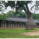 숨쉬는공간 | 전주향교 전통이 살아 숨 쉬는 공간 방문 후기