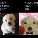 아르테2차아파트 | 7월 셋째주 | 초복 ,,, 그리고 겁나 더운 여름