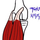 용암형제한의원 이미지
