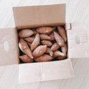 창바우농장 이미지