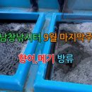 오늘은향어 이미지