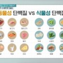 클럽미즈라미체의원