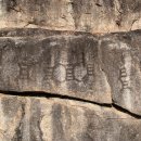 영주가흥리암각화 이미지