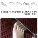 정인축산 | 감성일기𖤐