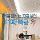 라비센