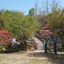 알록네이처 이미지