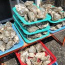 섬진강 계절음식 전문점 | 동네한바퀴 섬진강 재첩 한상 맛집 정보