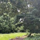 제주와일드 이미지