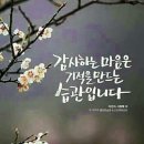 ♧. 복이 복인줄 알아야 범사에 감사할 수 있습니다. 이미지