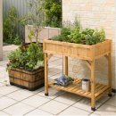 농장풀물 이미지