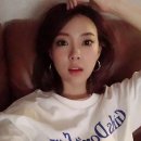 김장미 카카오 검색결과