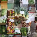 금싸라기식당