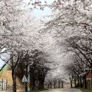 시산교차로 이미지