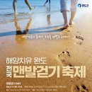 완도