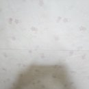 방셰프