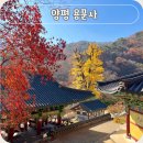 용문사 일주문 | 경기도 양평 사찰 용문사 은행나무 보물 가을 단풍 구경 주차장