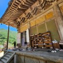 천년 행정사 이미지