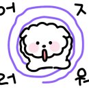 맥스워시 이미지