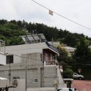 화실블루비