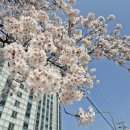 달거니해장국 아산도고점 | 얼큰하고 시원한 국물 맛 달거니 해장국 아산도고점