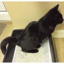 24시 라인동물의료센터 이미지