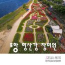 형산강 장미원 이미지