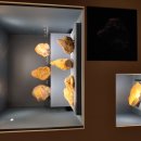 조선대학교박물관 이미지