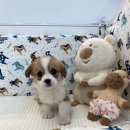 연제구-045 이미지