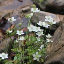 덕만농장 이미지