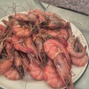 산속정원캠핑장 이미지