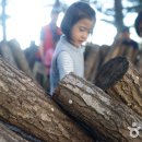 붓꽃섬 관광펜션 이미지