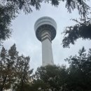 왕숙천로 | 구리 아이랑 실내 나들이 코스💛 구리타워 G레스토랑 후기