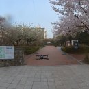 재궁공원 이미지
