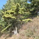 진관-041 이미지