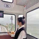 부산 스카이캡슐 해변열차 할인 예약 가격 해운대 블루라인파크 탑승 후기