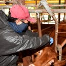 병은우사 이미지